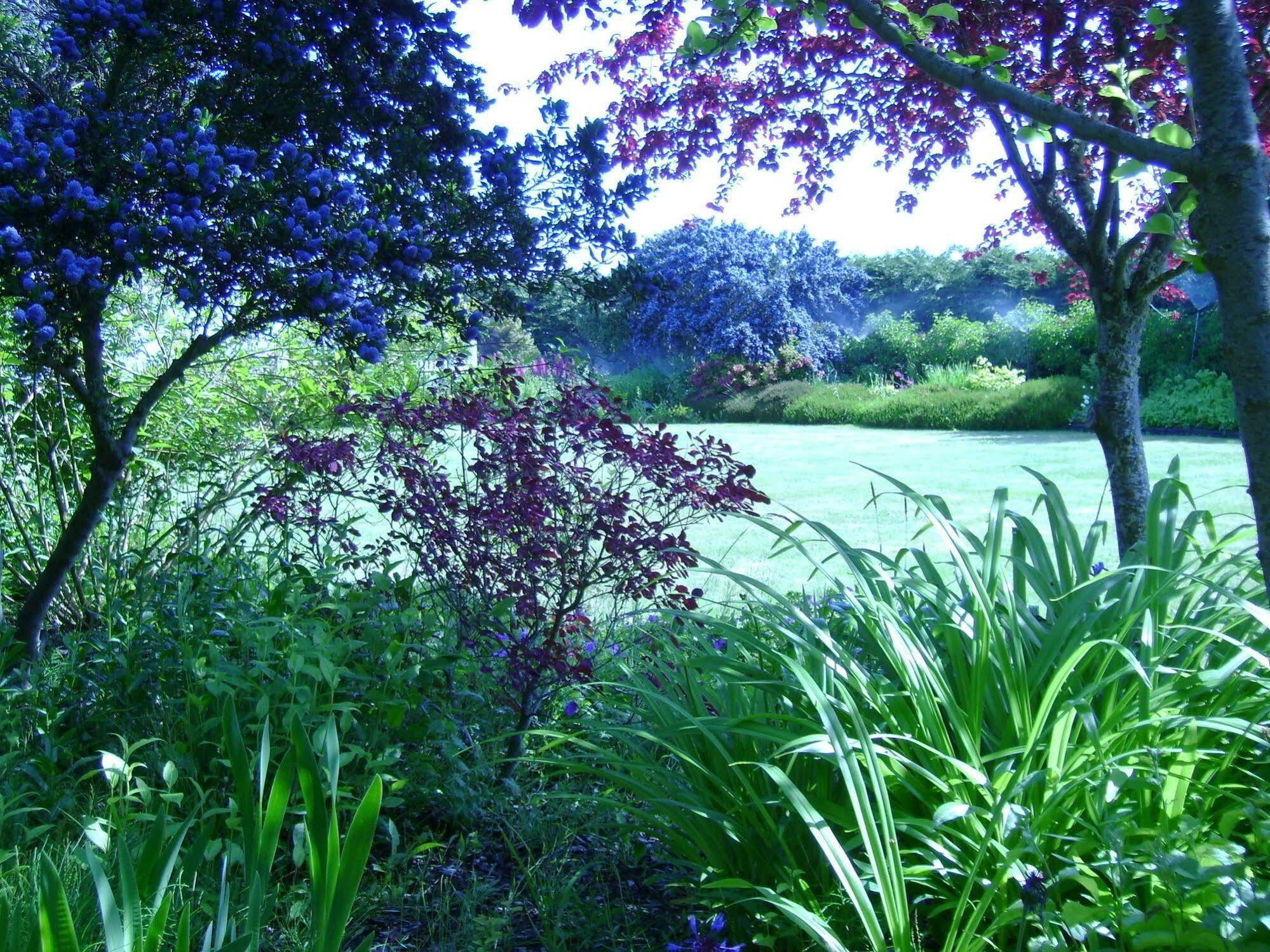 Sea Cliff Gardens Bed and Breakfast Port Angeles Exteriör bild